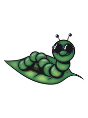 raupe witzig blatt sonnenbrille