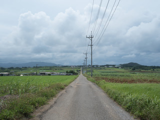 Fototapeta na wymiar 小浜島の風景