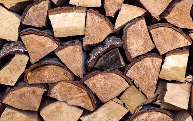 Pile of cut wood stump log texture used as background