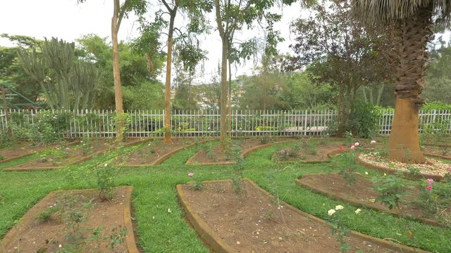 Rose garden at Kigali Memorial Centre