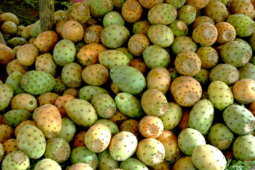 Figues de barbarie sur un marché de Marrakech, Maroc