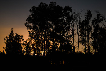 sun