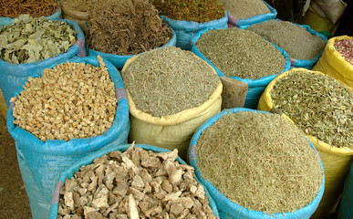 Maroc, vue générale du pays