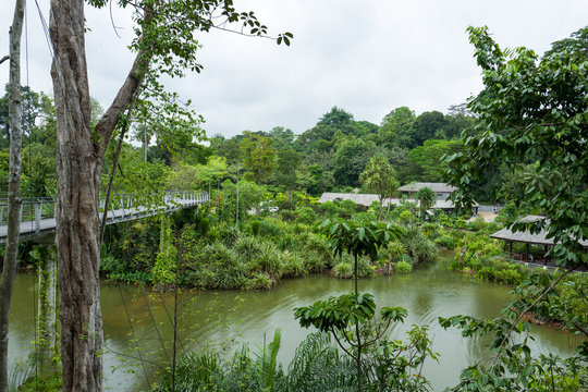 The Botanic Garden in Singapore