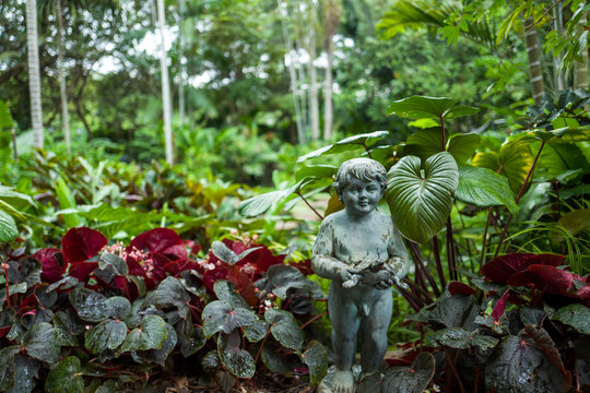 The Botanic Garden in Singapore
