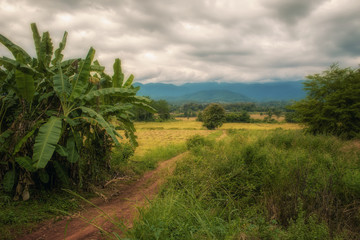 Obraz premium Landscape in Pai province Thailand.