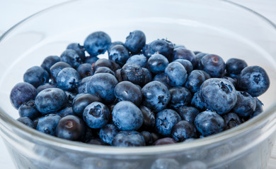 healhty breakfast or meal on white wooden table with cottage cheese and berries