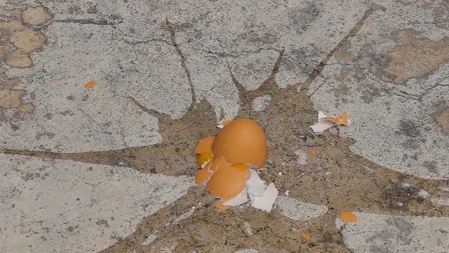 Egg fall on ground and broken to reveal broken shell and egg yolk.
