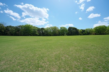 Tokyo, Japan-April 8, 2018: Green lawn surrounded by trees in park on a sunny spring morning.