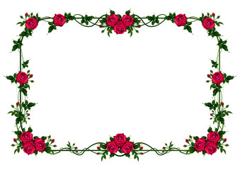 beautiful flower frame vector.Greeting card with flowers, watercolor, can be used as invitation card for wedding, birthday and other holiday and summer background. 