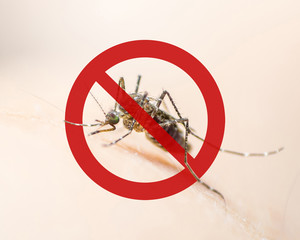 World malaria day with no mosquito sign for prevention of virus carrier insect spreading Aedes aegypti, yellow fever, dengue, chikungunya, Zika, Mayaro, Malaria, flavi epidemic disease