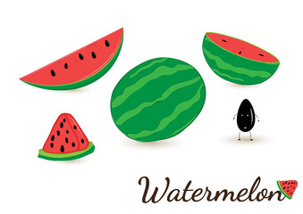 Tropical fruits seamless pattern on white background.fruits background.