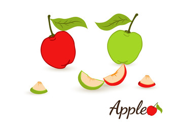 Tropical fruits seamless pattern on white background.fruits background.