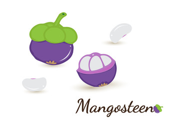 Tropical fruits seamless pattern on white background.fruits background.