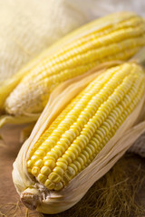Sweet yellow corn background
