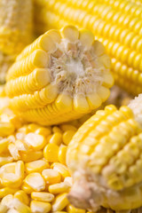 Sweet yellow corn background