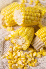 Sweet yellow corn background