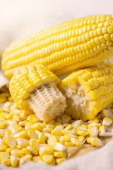 Sweet yellow corn background