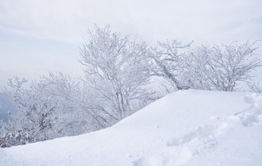 Fototapeta na wymiar 눈 덮힌 겨울 산의 풍경