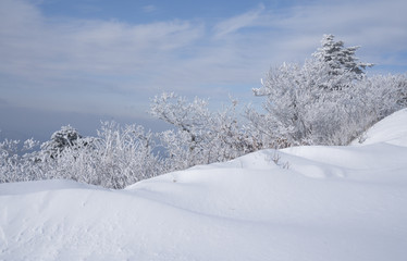 Fototapeta na wymiar 눈 덮힌 겨울산의 풍경