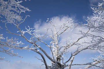 덕유산의 겨울 풍경