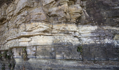 지층과 공룡화석