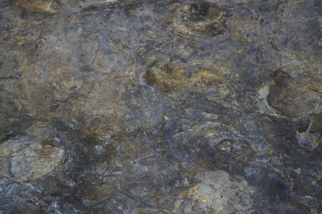 지층과 공룡화석