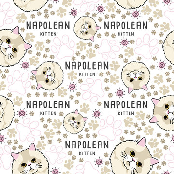 Cat Breed Collection : Seamless Pattern : Vector Illustration