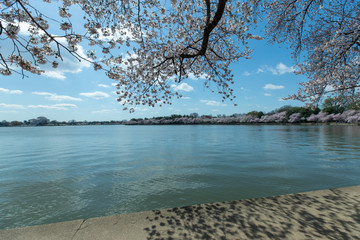 tidal basin loop