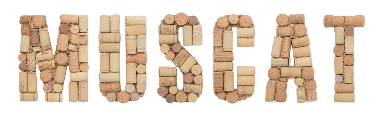 Grape variety Muscat made of wine corks Isolated on white background