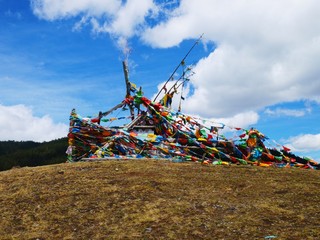 Traditional Tibetan Culture 