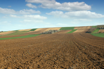 farmland plowed field landscape agriculture