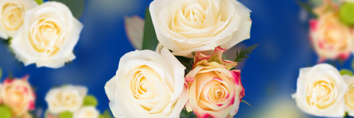 schöner Rosen Banner, Platzhalter, Hintergrund  blau