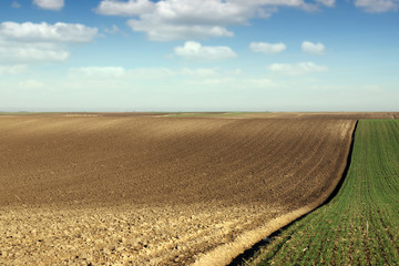 plowed field agriculture spring season