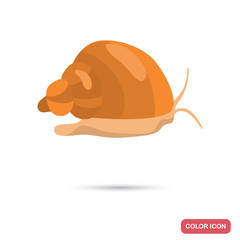 Aquarium snail color flat icon