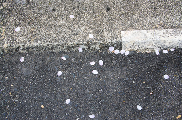 asphalt road with paint
