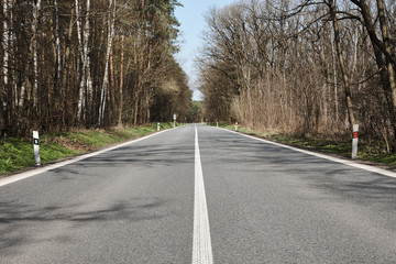 Fototapeta premium straight asphalt road in the middle of a forest, under a blue sky