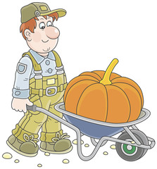 Fototapeta premium Smiling gardener carrying a big orange pumpkin in his barrow