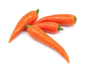 bird chili isolated on white background