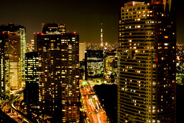 Fototapeta na wymiar 日本、東京、東京スカイツリー、夜景、絶景、トワイライト、大都会の夜風景