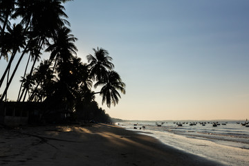 Tropical beach and coconut palms, Vietnam, Muine, sunrise on beach