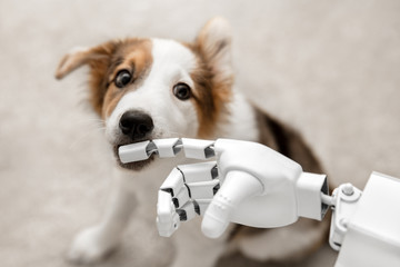 Roboter mit niedlichem Welpen