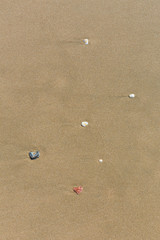 Sand on the beach background, Sea summer vacation, sea shells