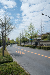 大阪　桃山台付近　道路