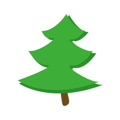Fir tree cartoon isolated vector icon on white background