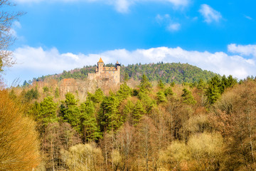 Fototapeta na wymiar Castle Berwartstein in palatine forest