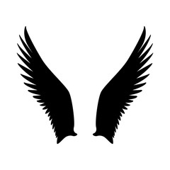 wings bird vector illustration  black silhouette  profile