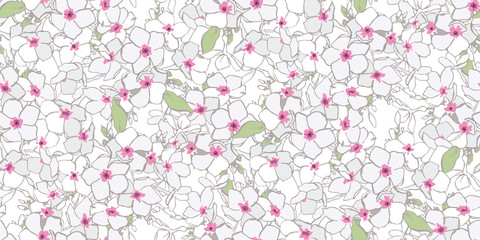 
Phlox are sweet, pink in color. White garden flowers. Flower print. Flower postcard.
