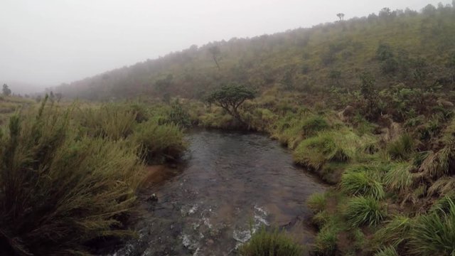 Der Nationalpark Horton Plains in Sri Lanka