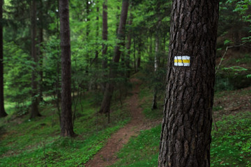 Yellow sign of a tourist trail on the tree in the middle of the forest